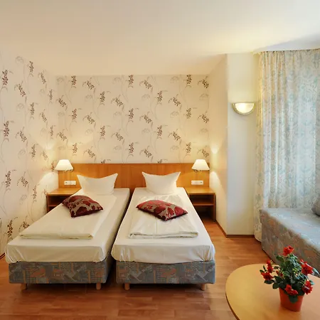 招待所 戴安娜菲儿别墅酒店 美因河畔法兰克福