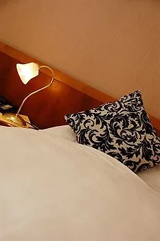 Fair Diana 3* פרנקפורט