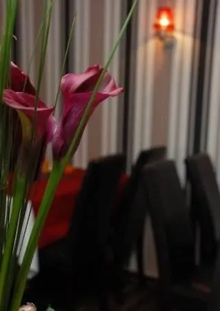 戴安娜菲儿别墅酒店 招待所 美因河畔法兰克福