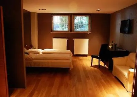 戴安娜菲儿别墅酒店 美因河畔法兰克福